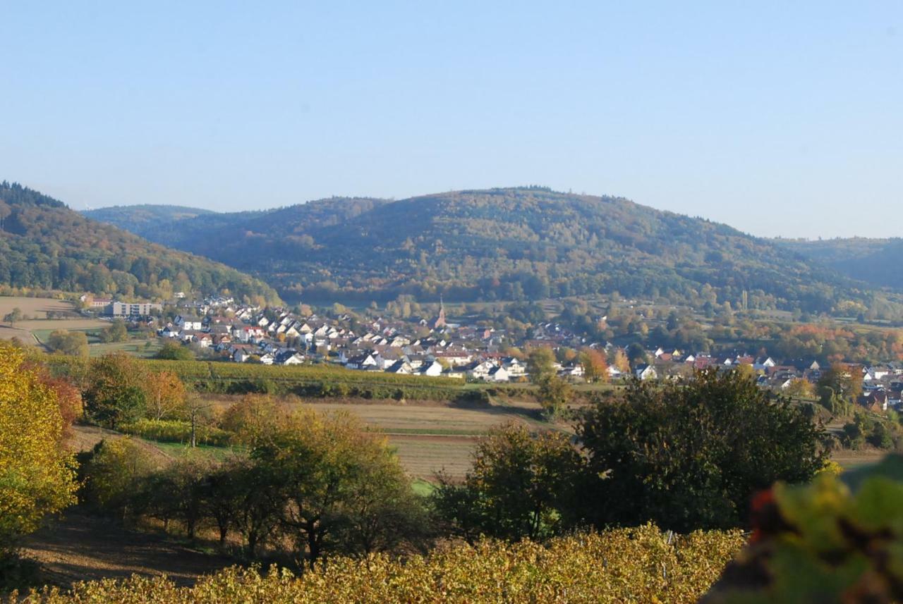 Hildastrasse 1 Appart.2 Friesenheim  Esterno foto